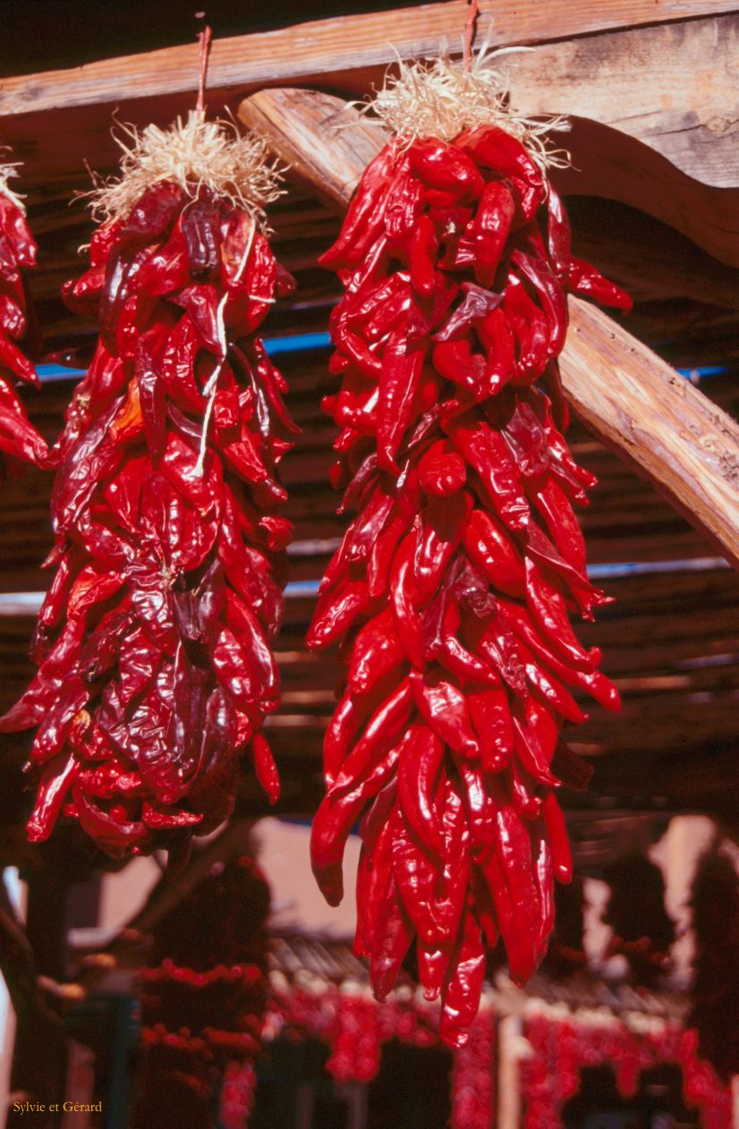 USA 1997-118 piments