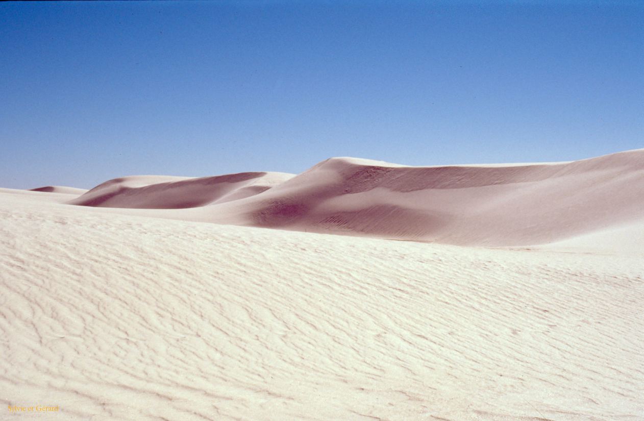 USA 1997-131 White Sands NP Nouveau Mexique