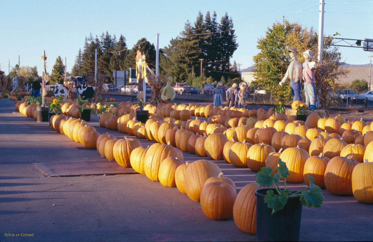 USA 1997-015 San Franscisco Halloween