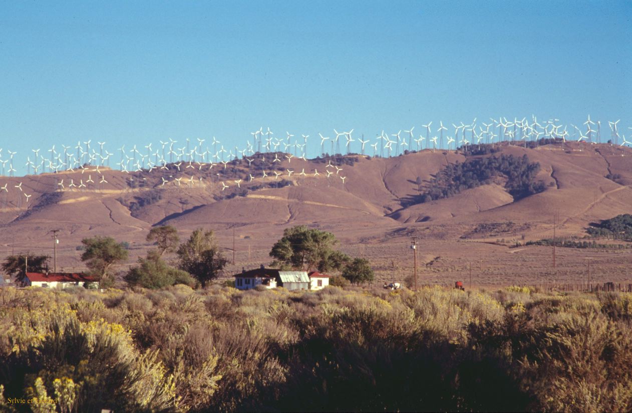 USA 1997-019 sur la route champs d'éoliennes