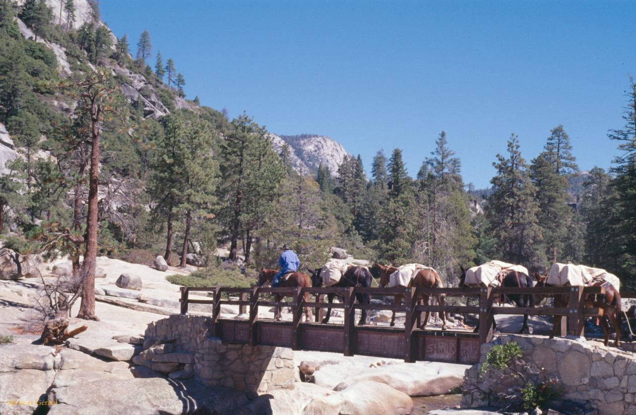 USA 1997-024 Yosémite le haute de la cascade