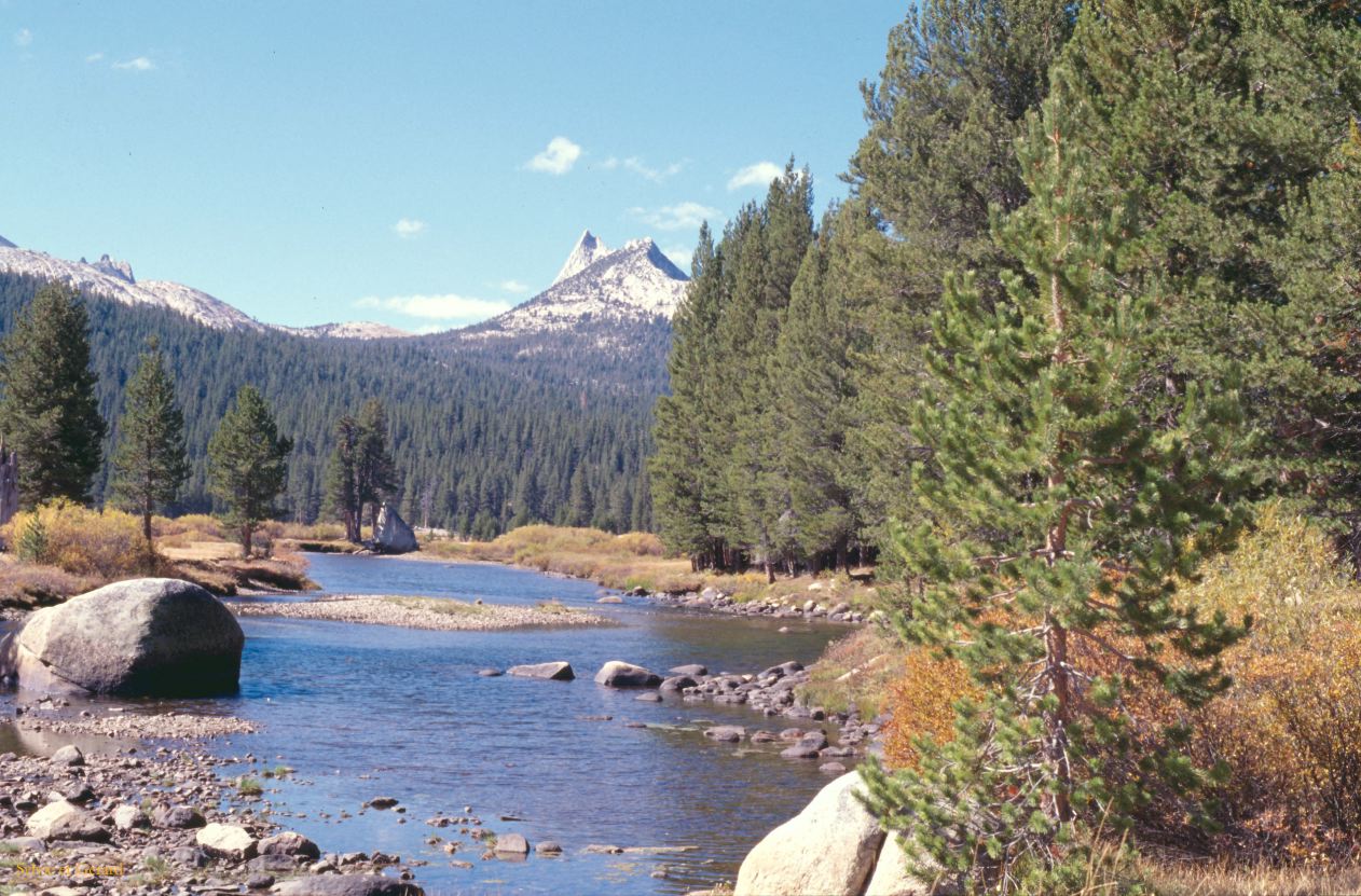 USA 1997-029 Yosémite Meadows