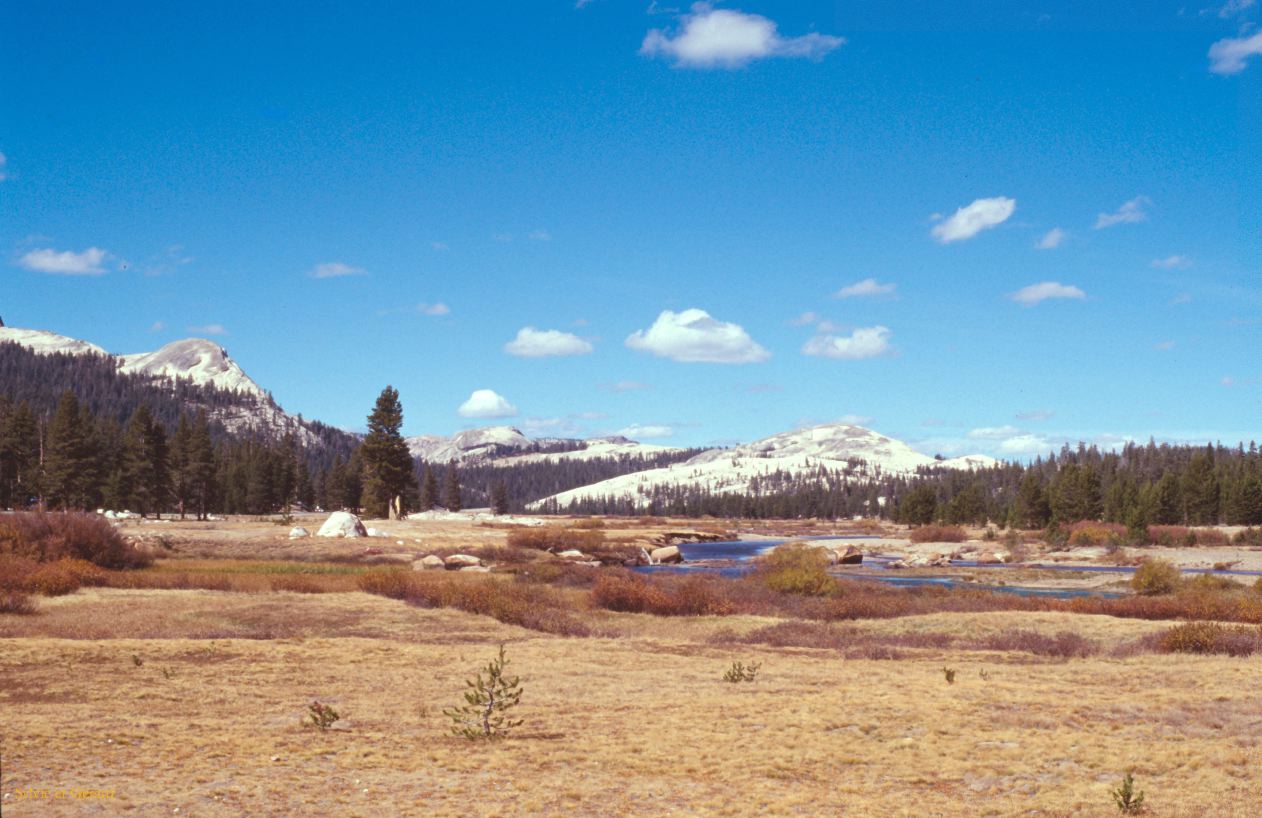 USA 1997-030 Yosémite Meadows