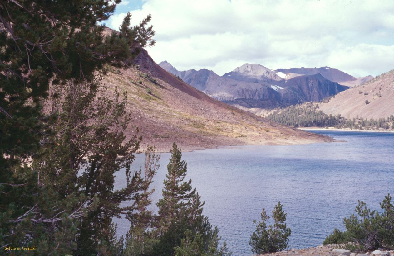 USA 1997-031 Yosémite Meadows