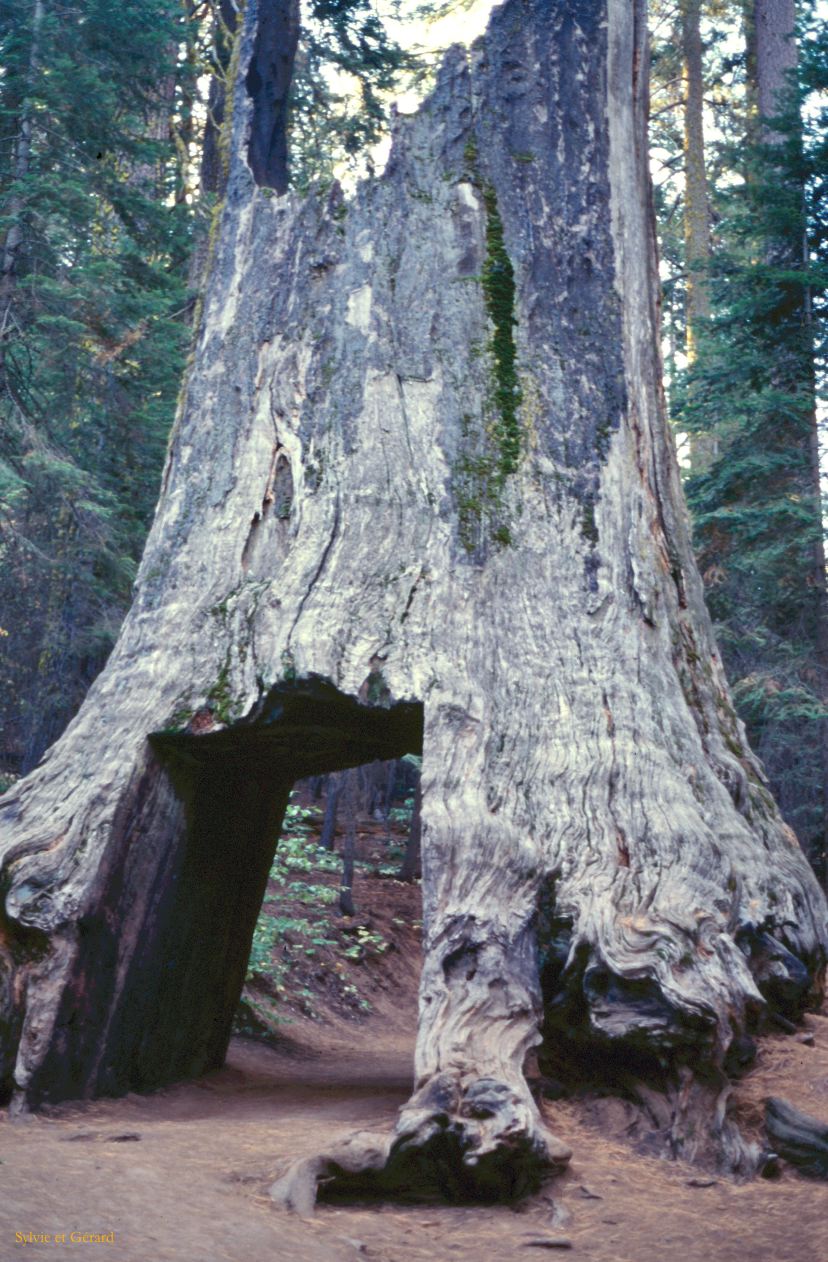 USA 1997-044 Sequoia