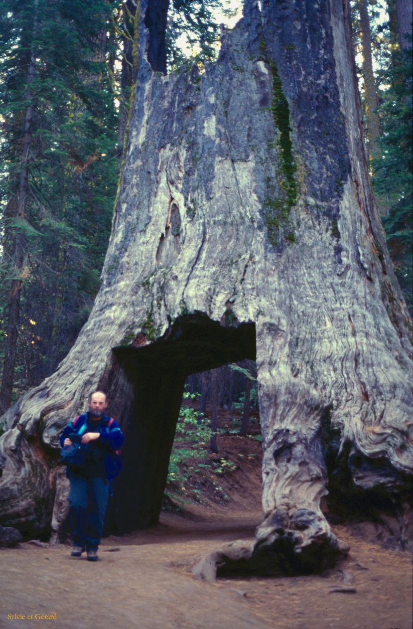 USA 1997-045 Sequoia