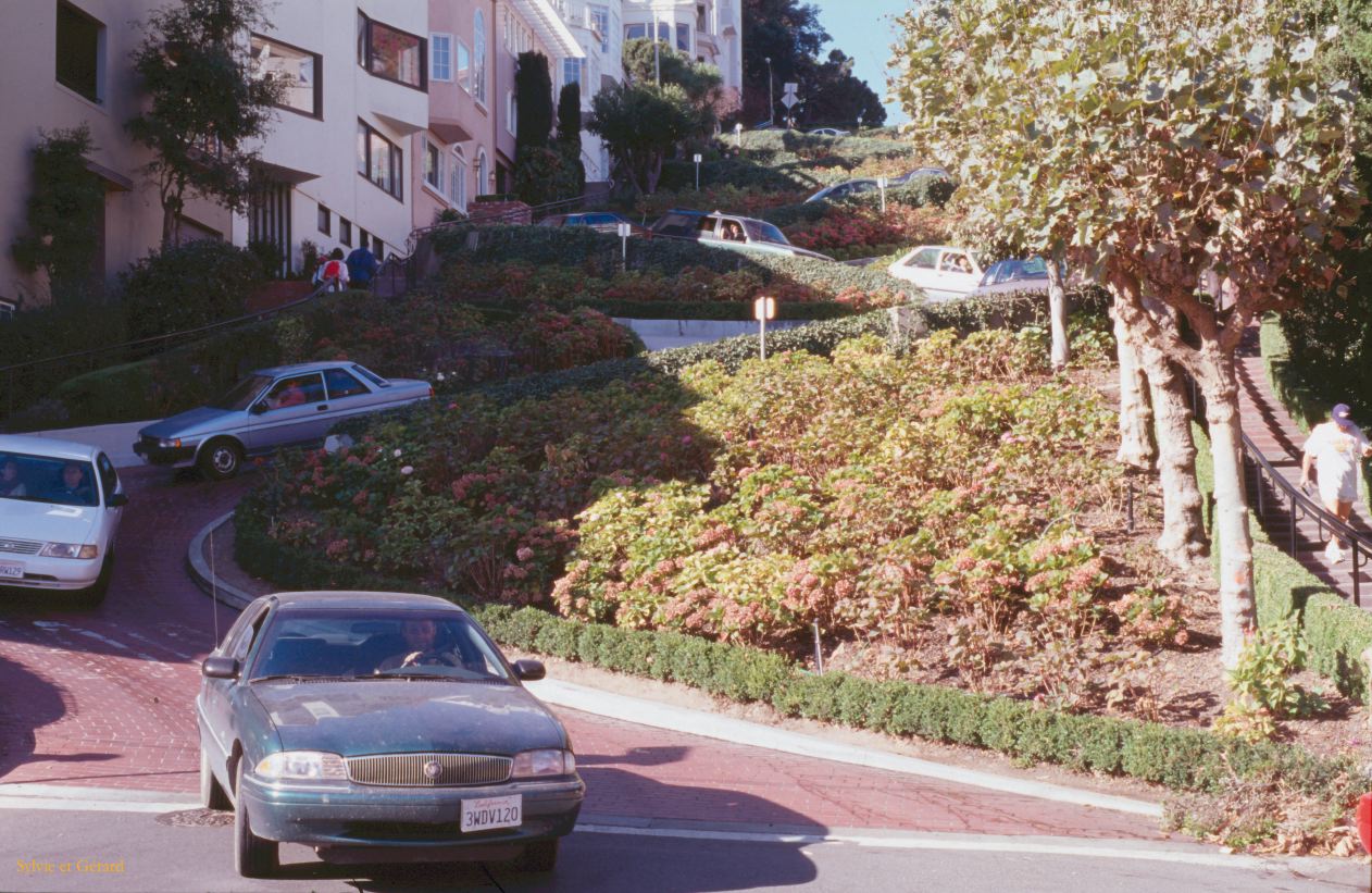 USA 1997-010 San Franscisco Lombart street Gérard au volant