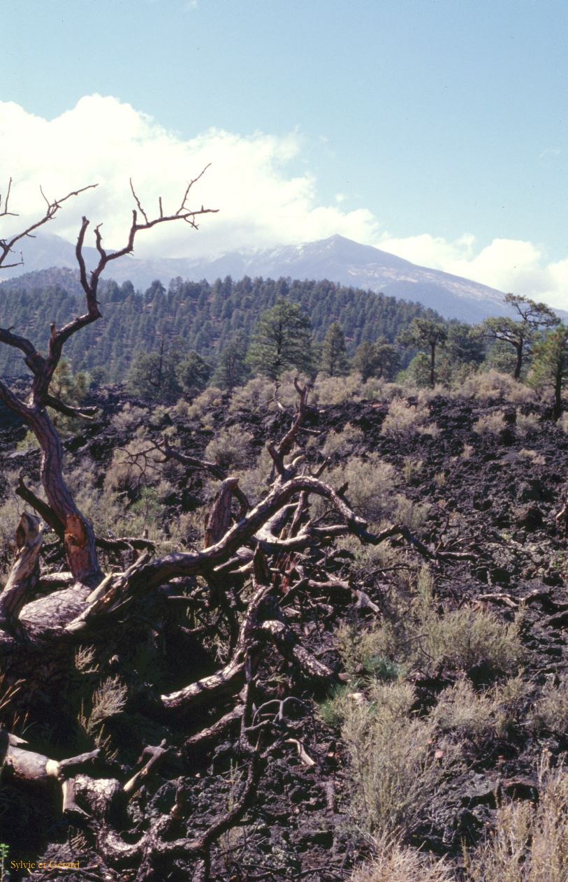 USA 1997-097 Sunset Crater NP Arizona