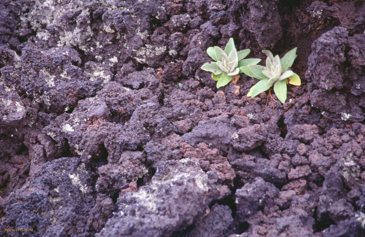 USA 1997-098 Sunset Crater NP