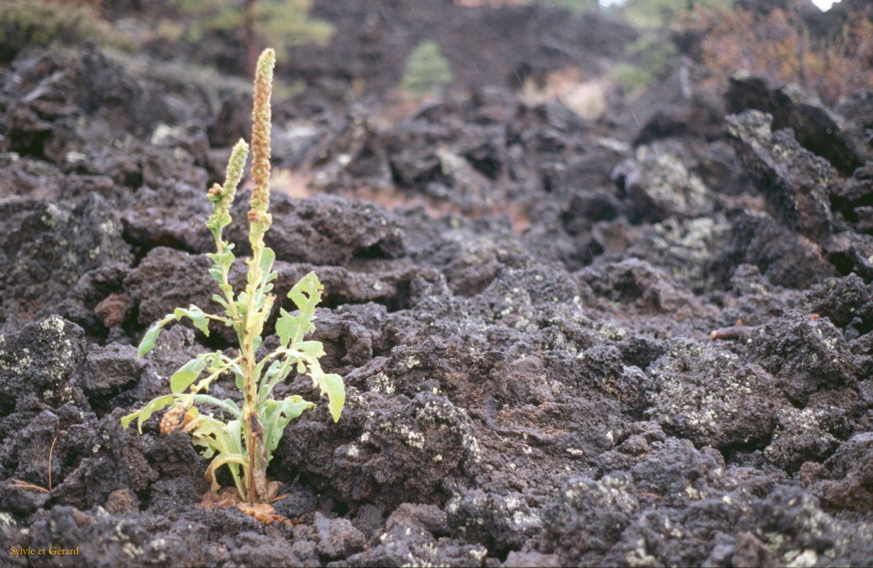 USA 1997-099 Sunset Crater NP
