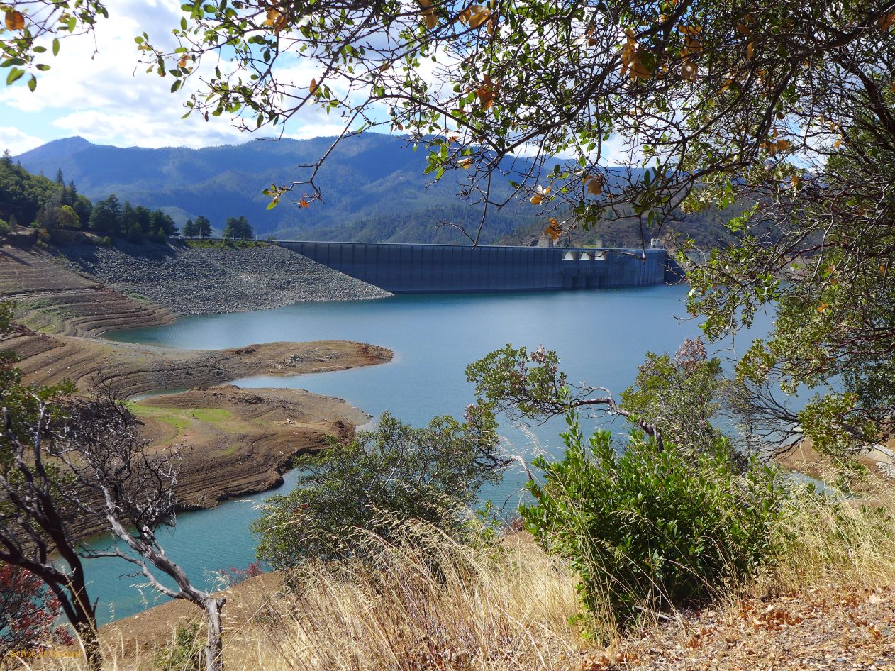 G 01 Shasta Dam