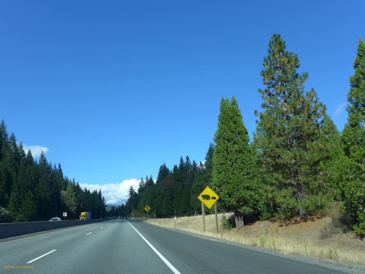 G 08 vers Shasta Dam