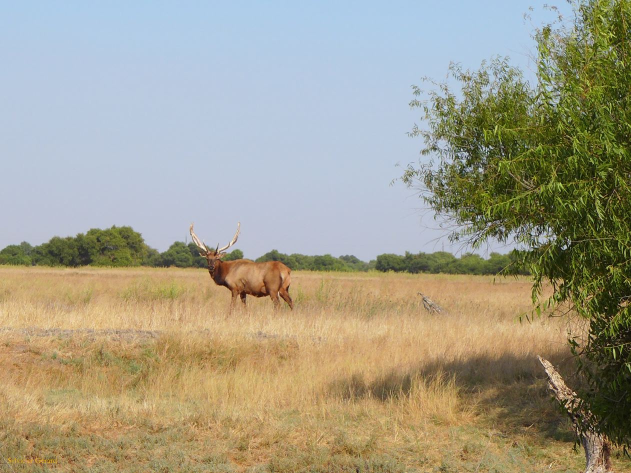 I 05 San Luis Reserve