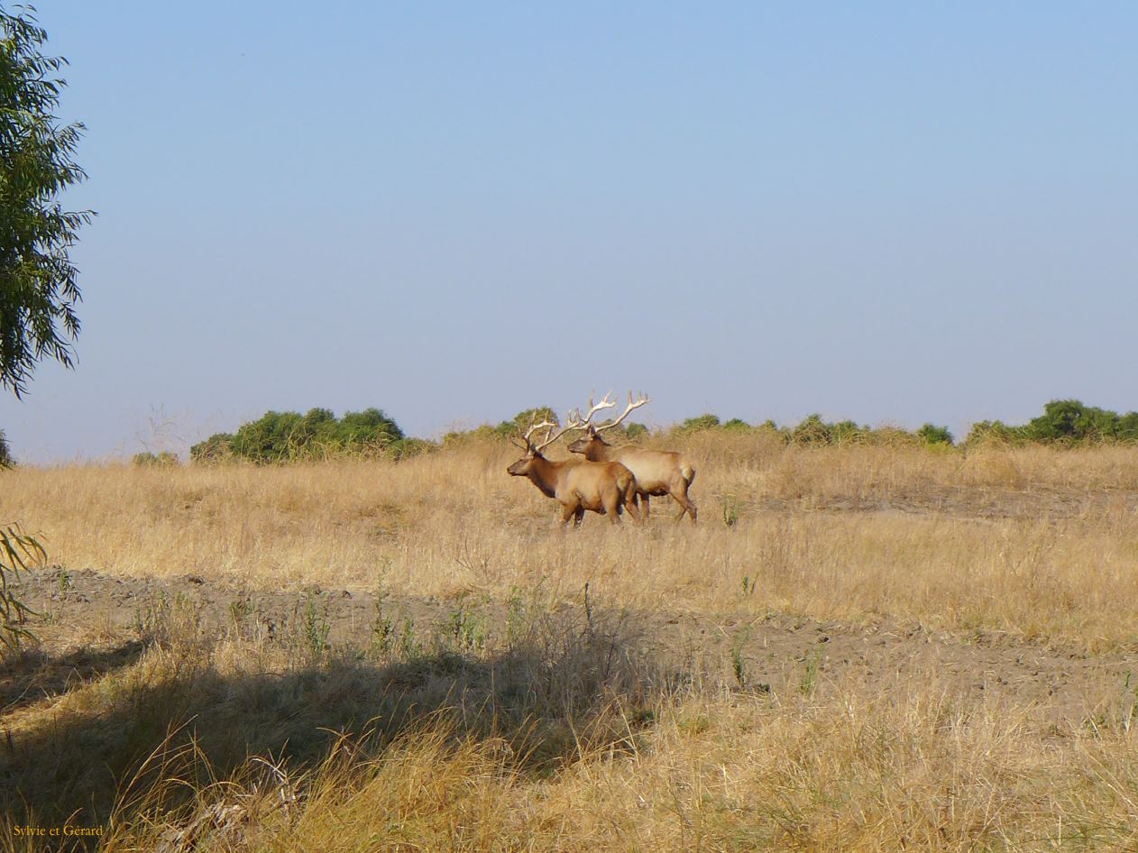 I 06 San Luis Reserve