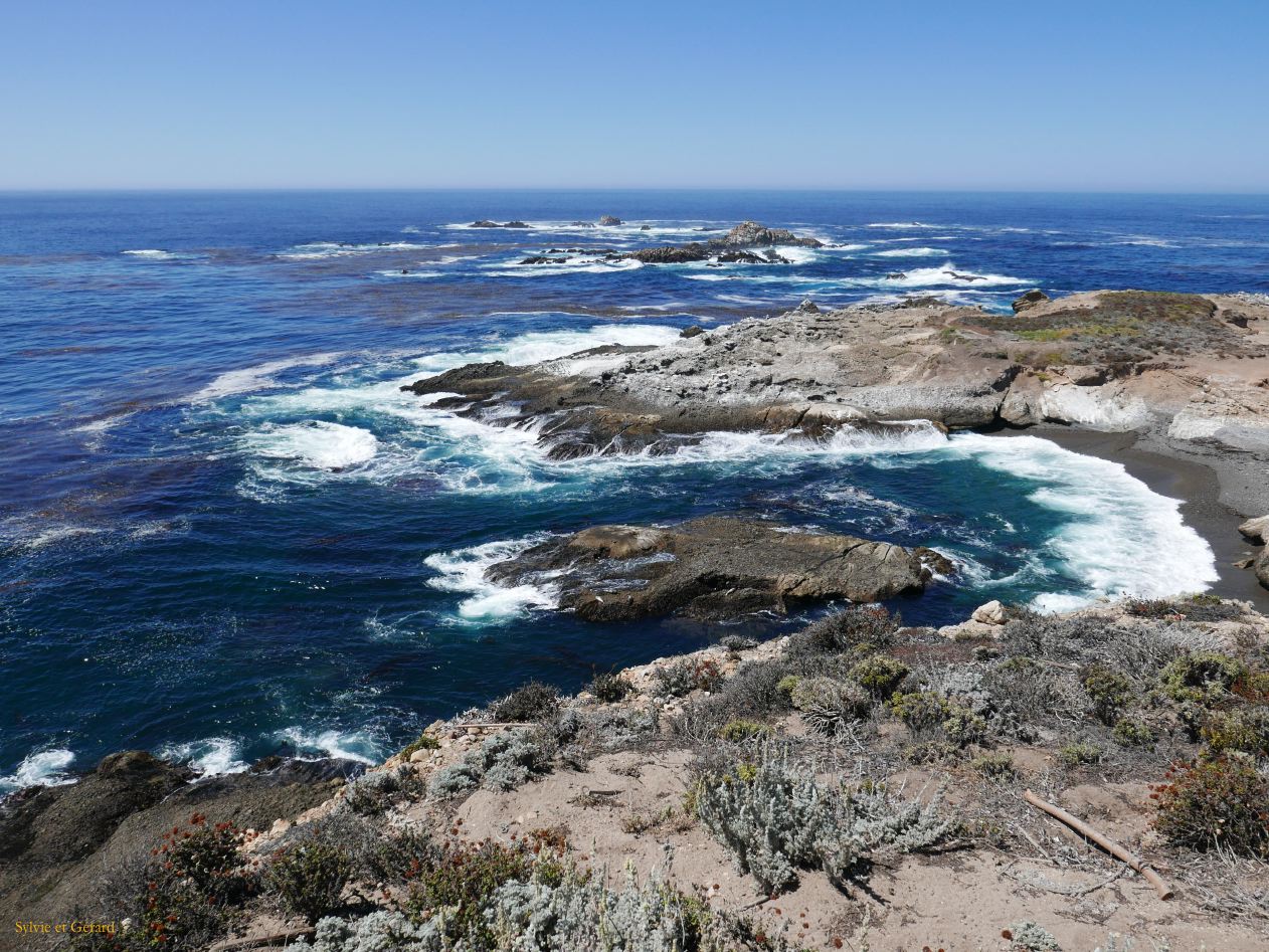 M 01 Point Lobos