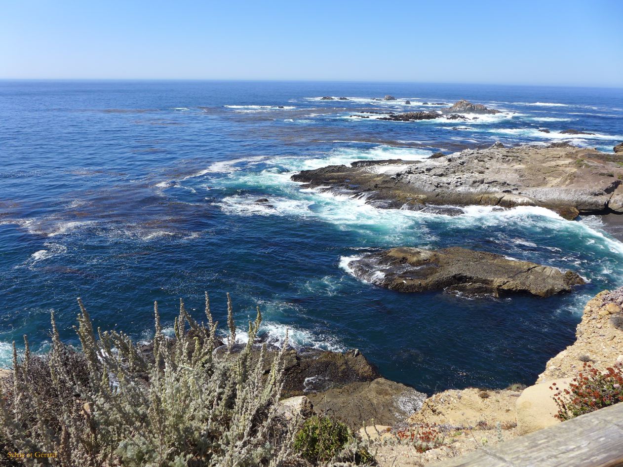 M 02 Point Lobos