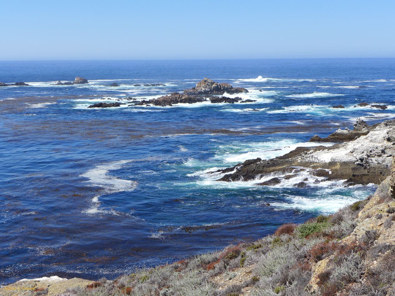 M 04 Point Lobos 