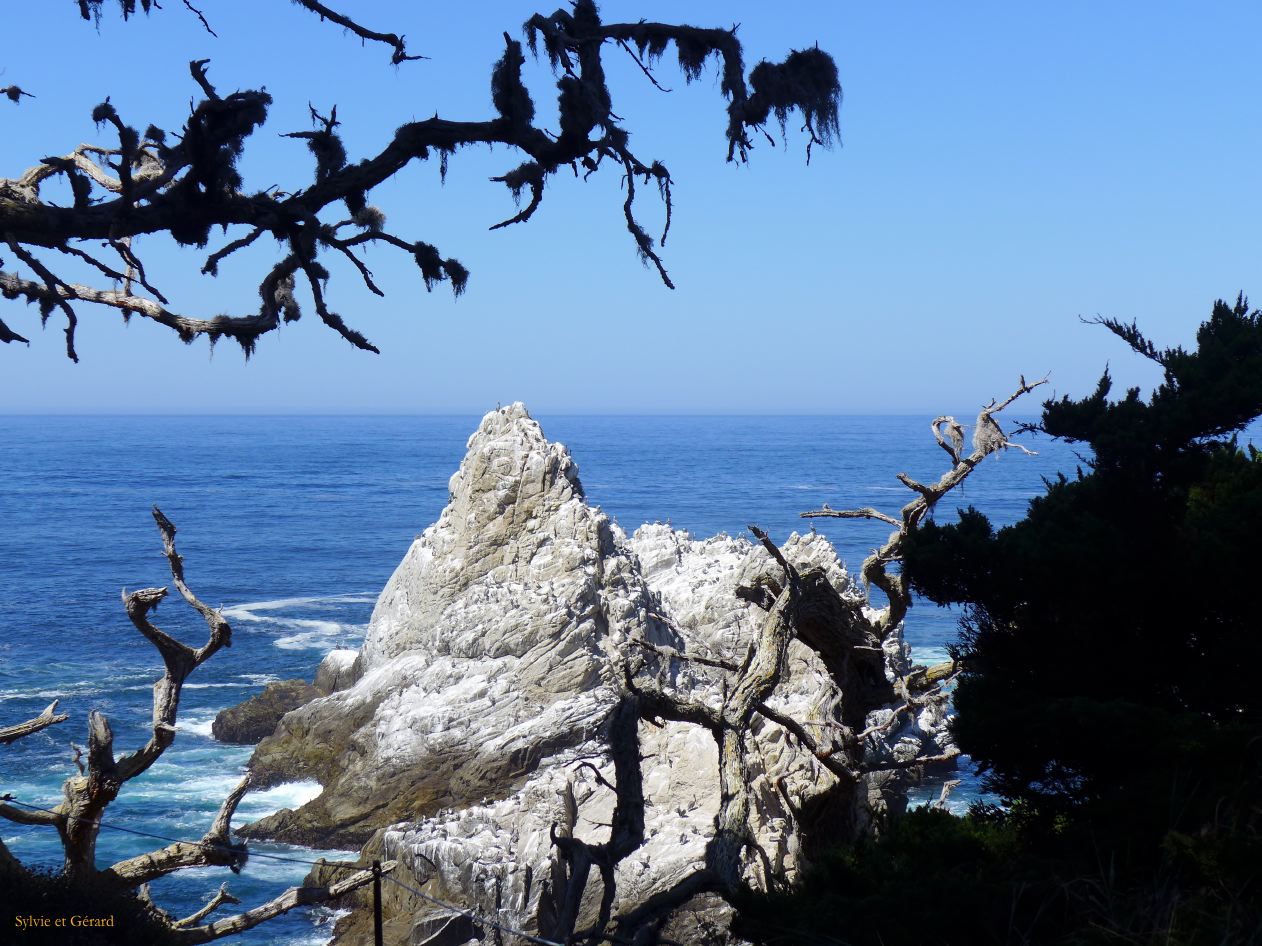 M 05 Point Lobos
