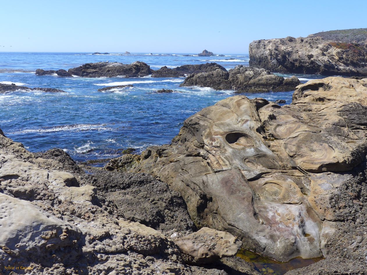 M 15 Point Lobos