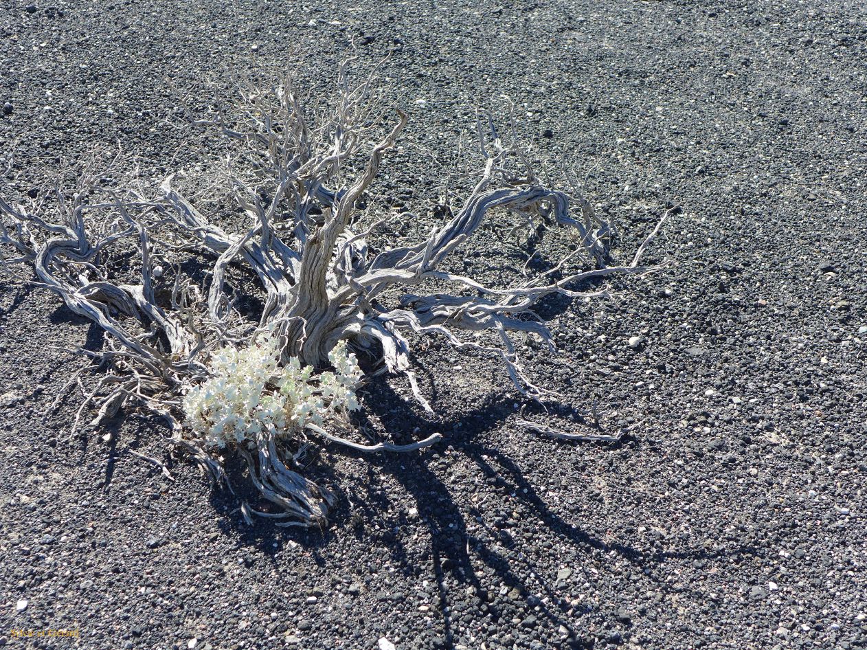 A 30 Vallée de la Mort Ubehebe Crater