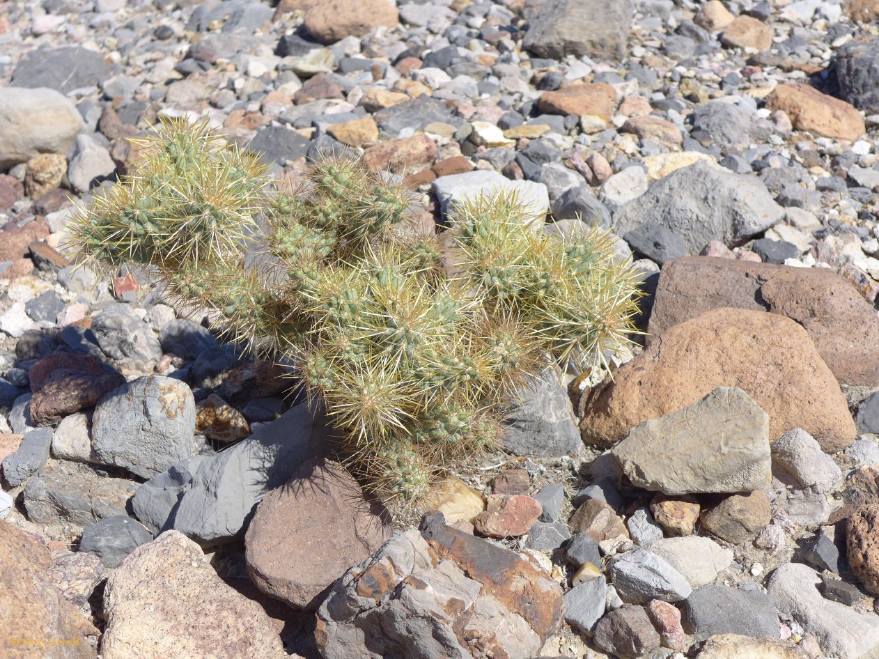 A 34 Vallée de la Mort