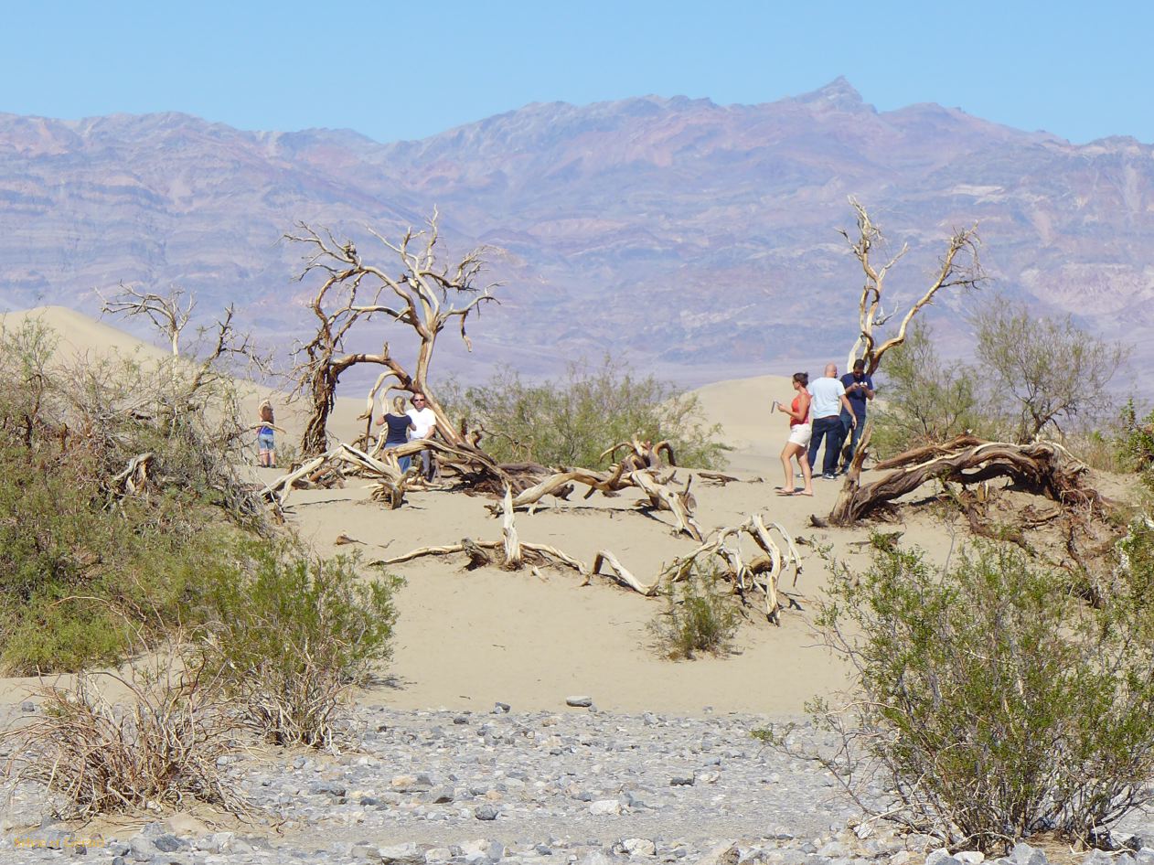 A 37 Vallée de la Mort dunes de sable arret photo