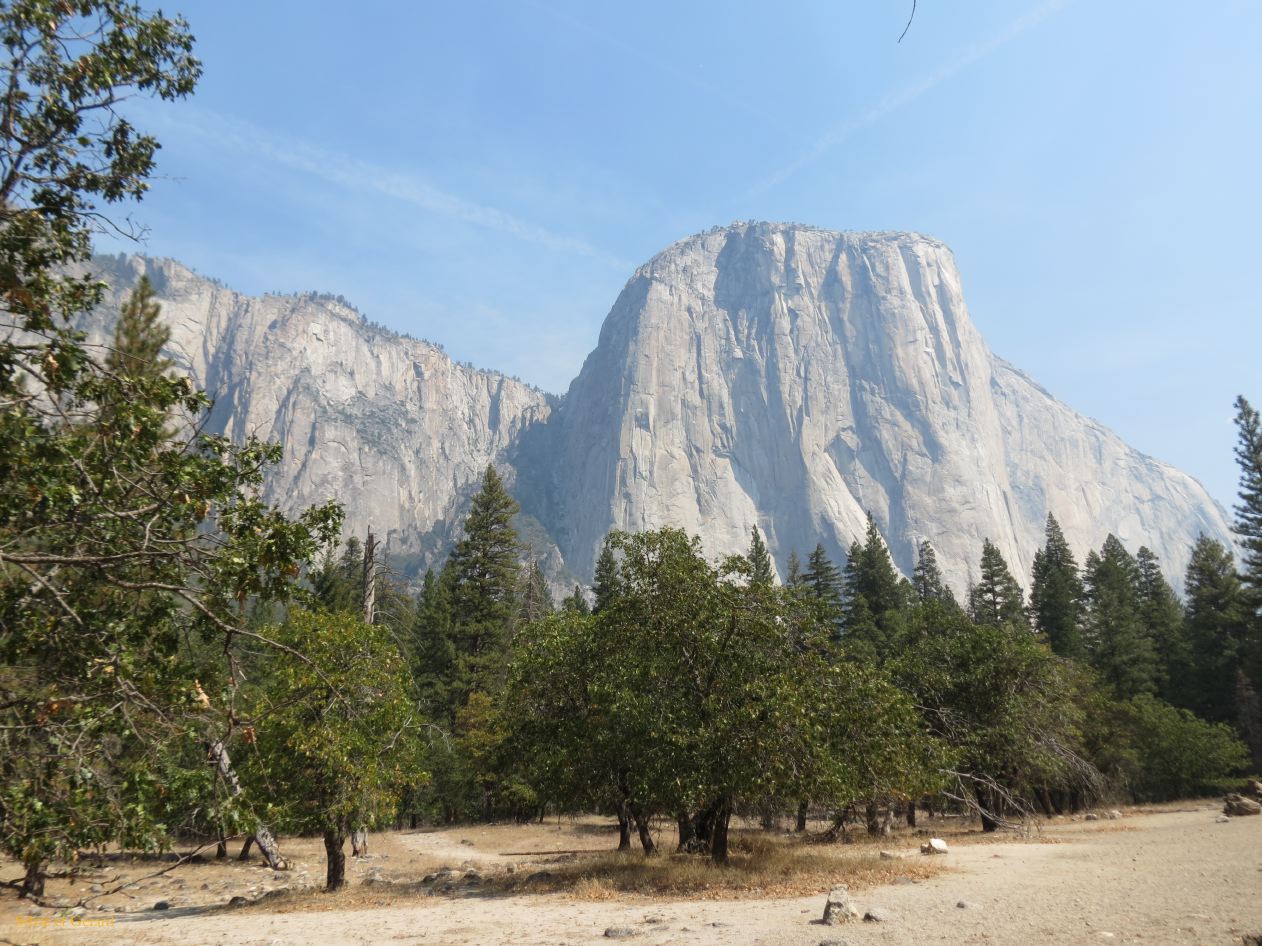 C 01 Yosemite