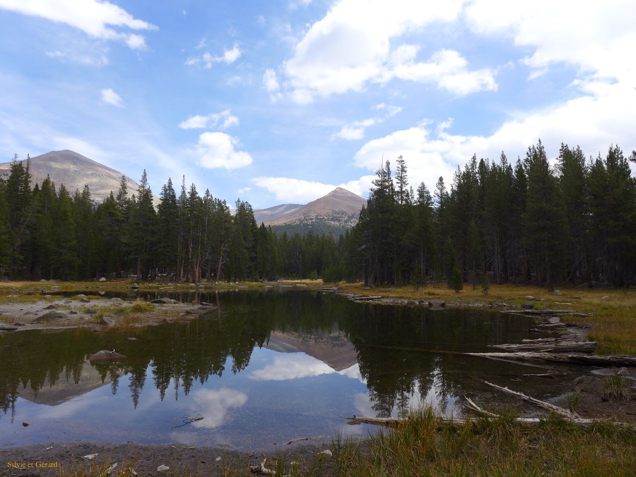 C 20 Yosemite Tuolumne Meadows