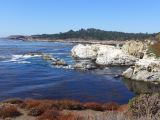 M 08 Point Lobos 