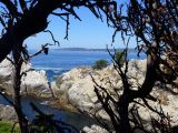 M 11 Point Lobos 