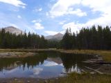 C 20 Yosemite Tuolumne Meadows