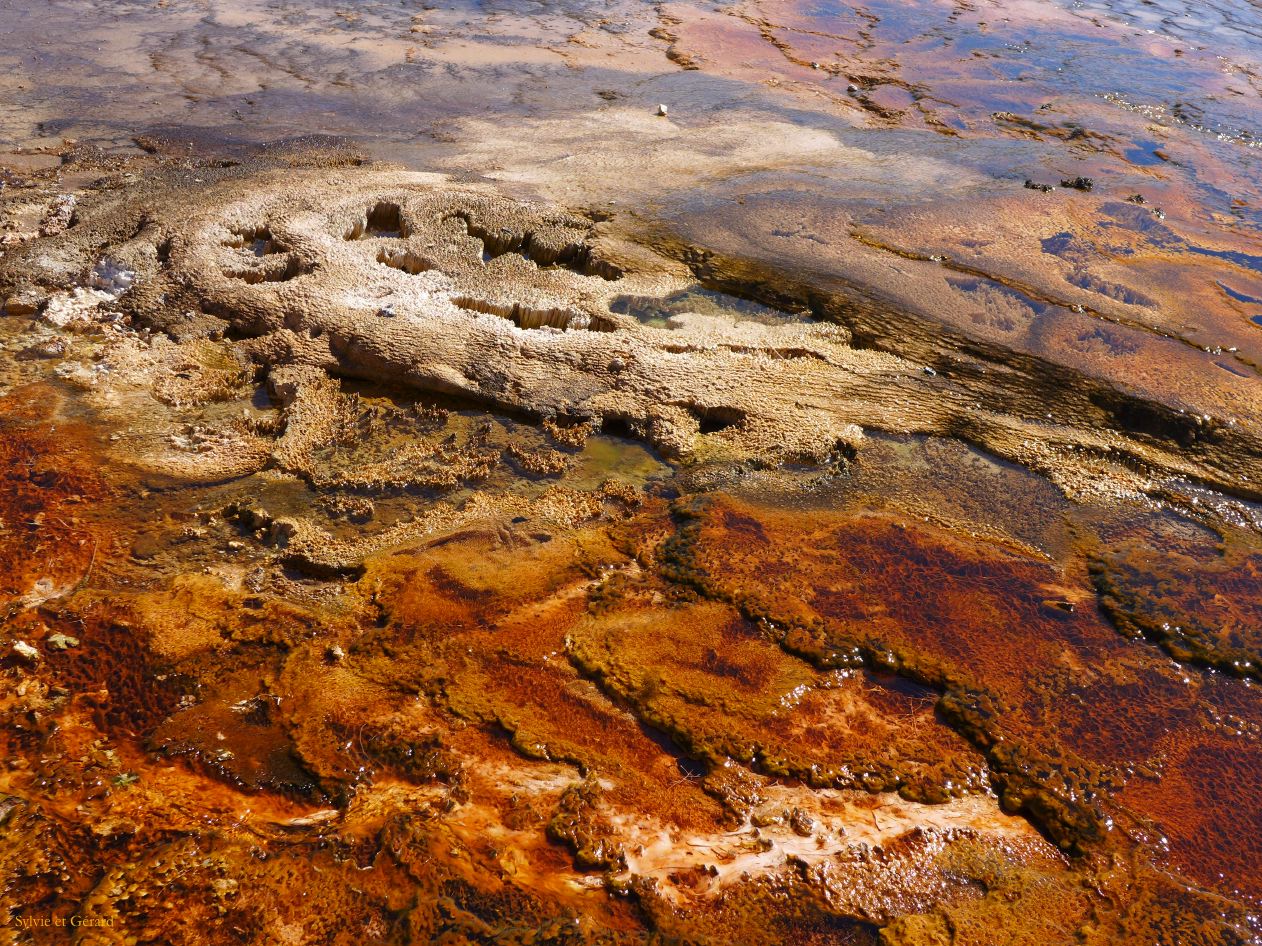  WYOMING A YELLOWSTONE 20