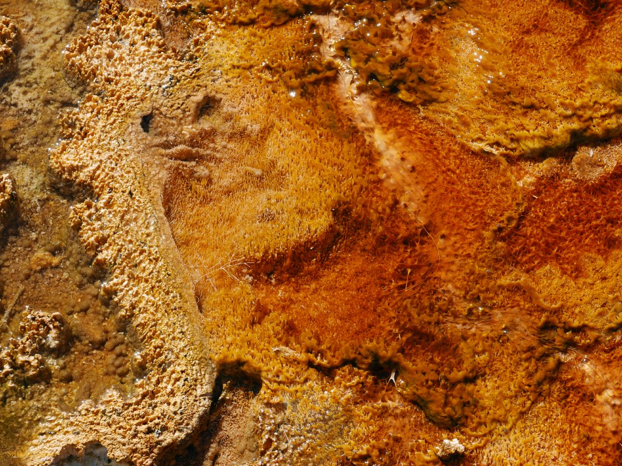  WYOMING A YELLOWSTONE 21