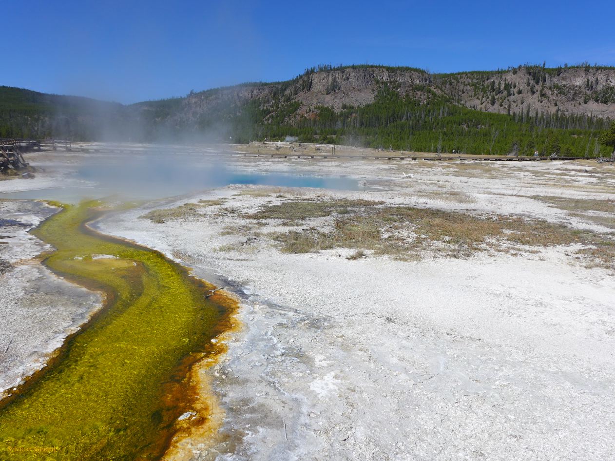  WYOMING A YELLOWSTONE 23 