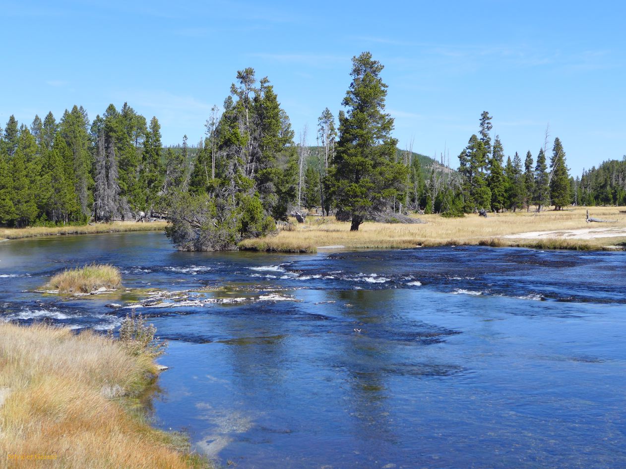  WYOMING A YELLOWSTONE 30 Firehole River 