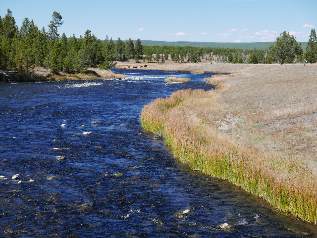  WYOMING A YELLOWSTONE 31