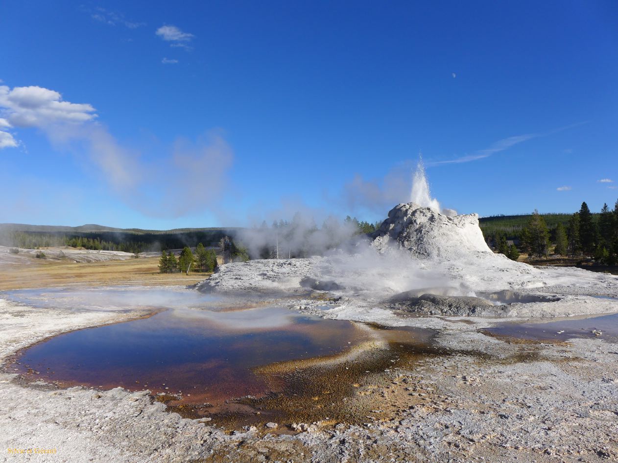  WYOMING A YELLOWSTONE 04 Castel geyser 
