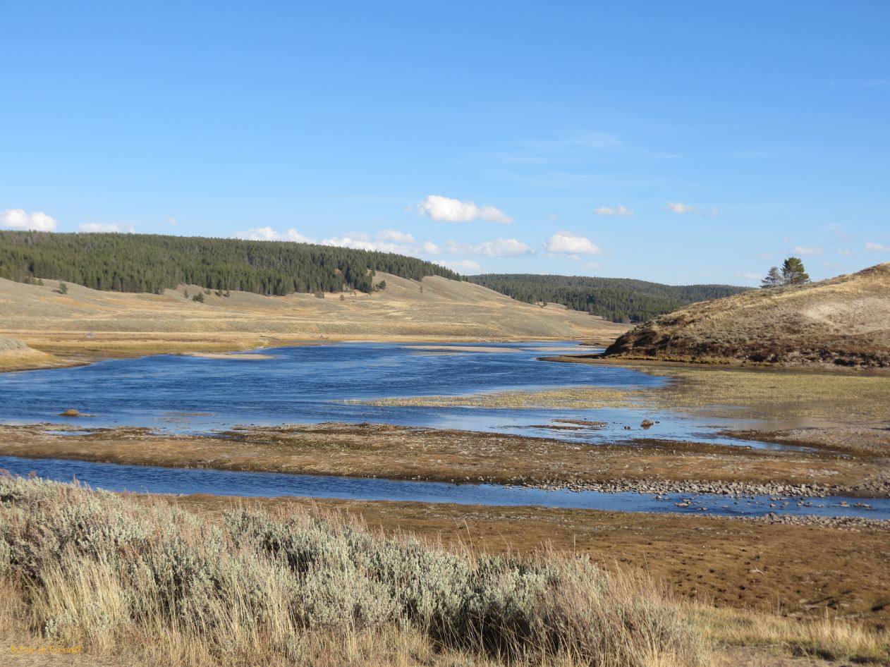  WYOMING A YELLOWSTONE 41