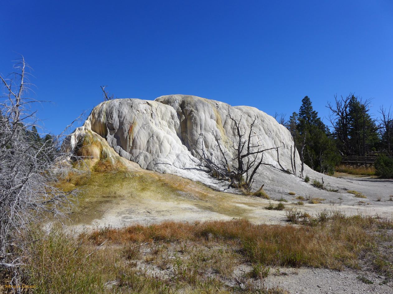  WYOMING A YELLOWSTONE 50 Mammoth Hot Springs Orange Spring Mound 