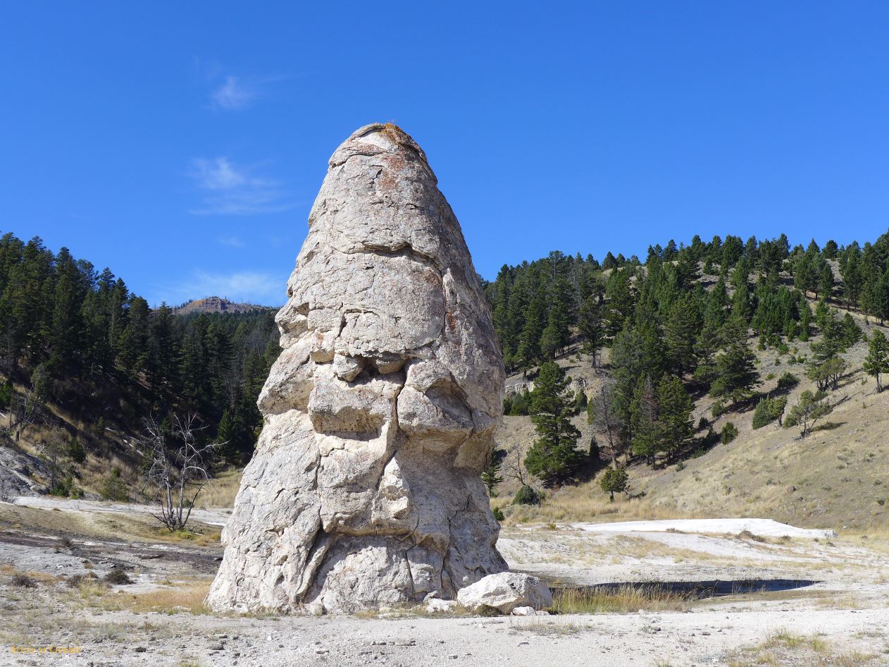  WYOMING A YELLOWSTONE 52 Mammoth Hot Springs Liberty Cap 