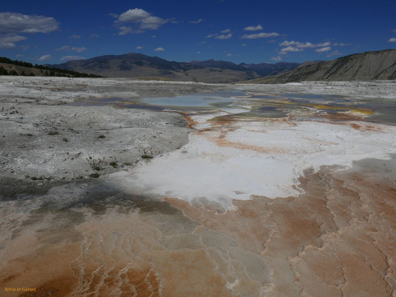  WYOMING A YELLOWSTONE 53 Mammoth Hot Springs