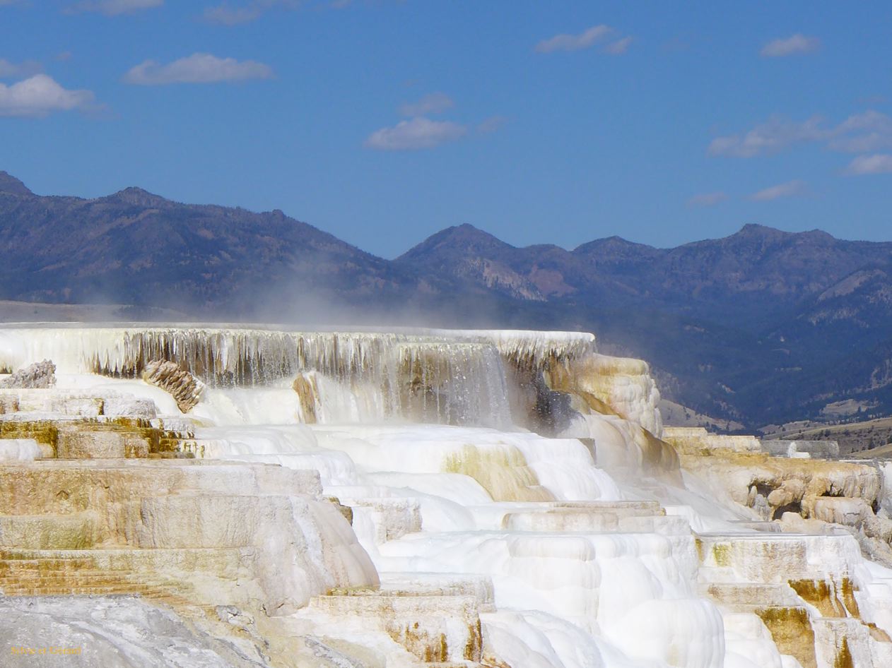  WYOMING A YELLOWSTONE 55 Mammoth Hot Springs