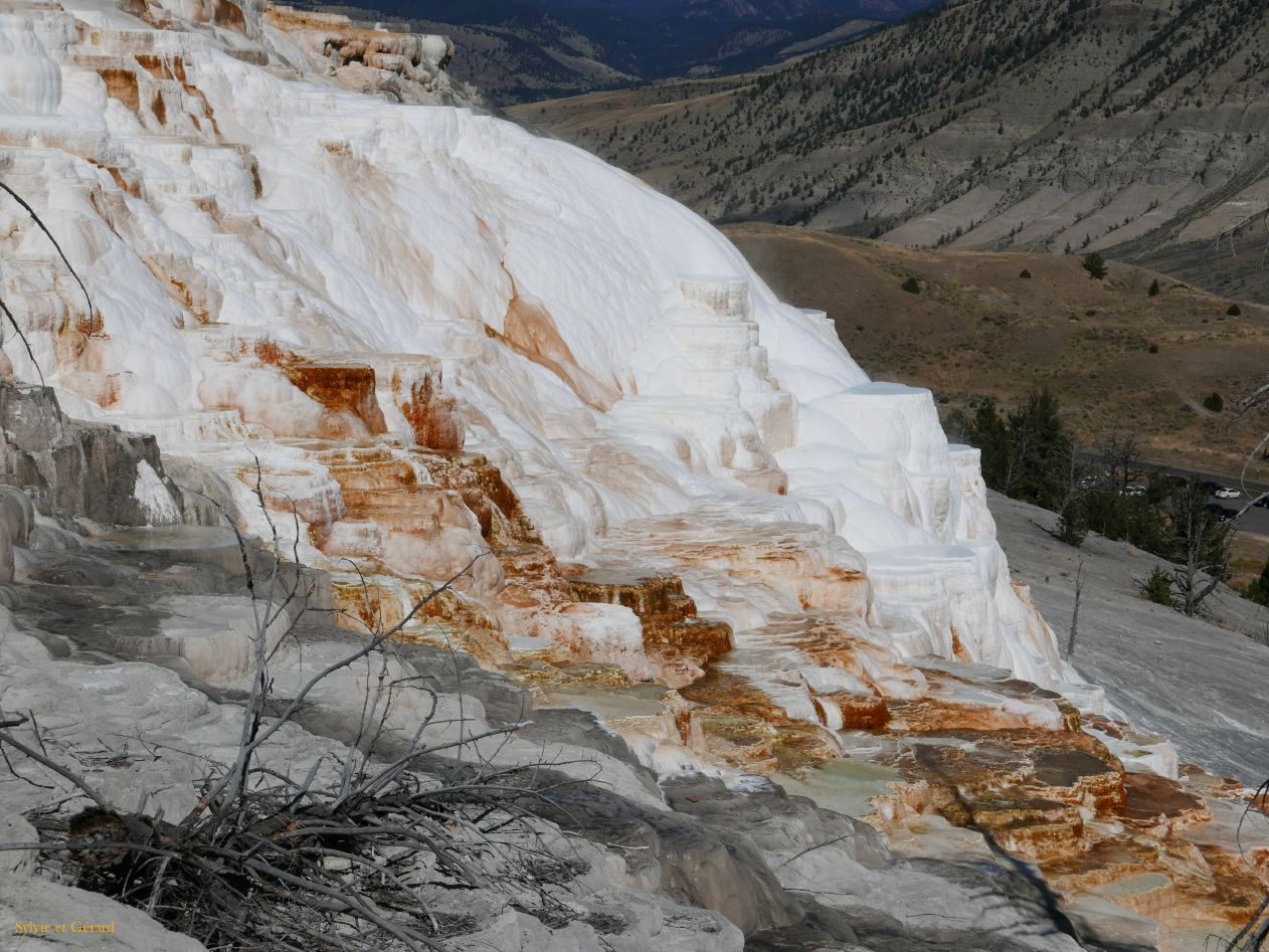  WYOMING A YELLOWSTONE 56 Mammoth Hot Springs