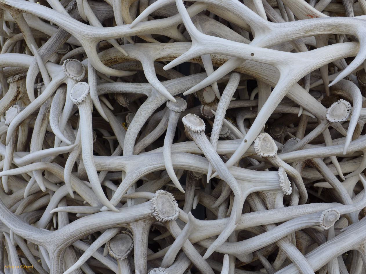 WYOMING Jackson Hole 02 