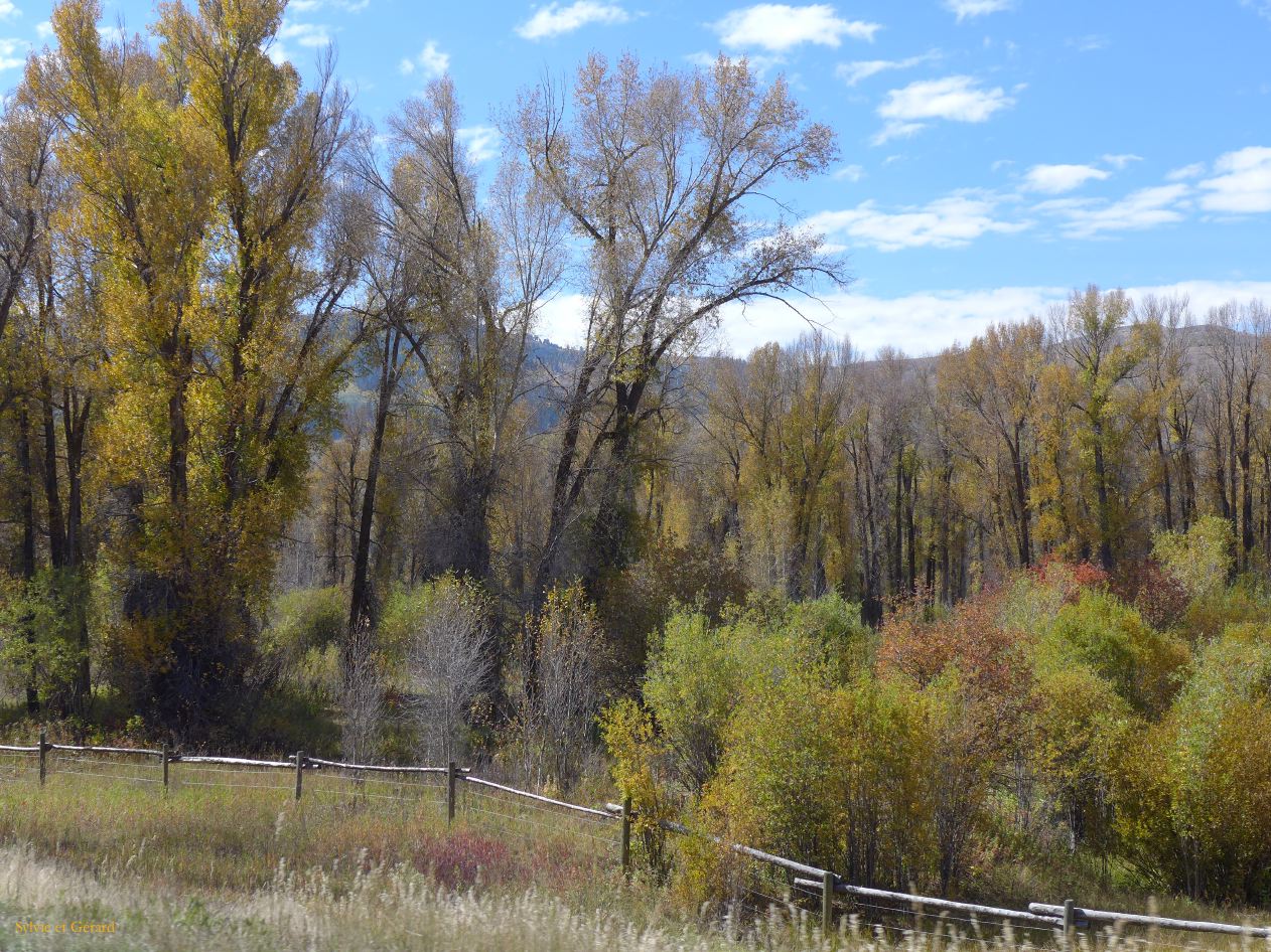WYOMING Jackson Hole 07 arrivée de l'automne 