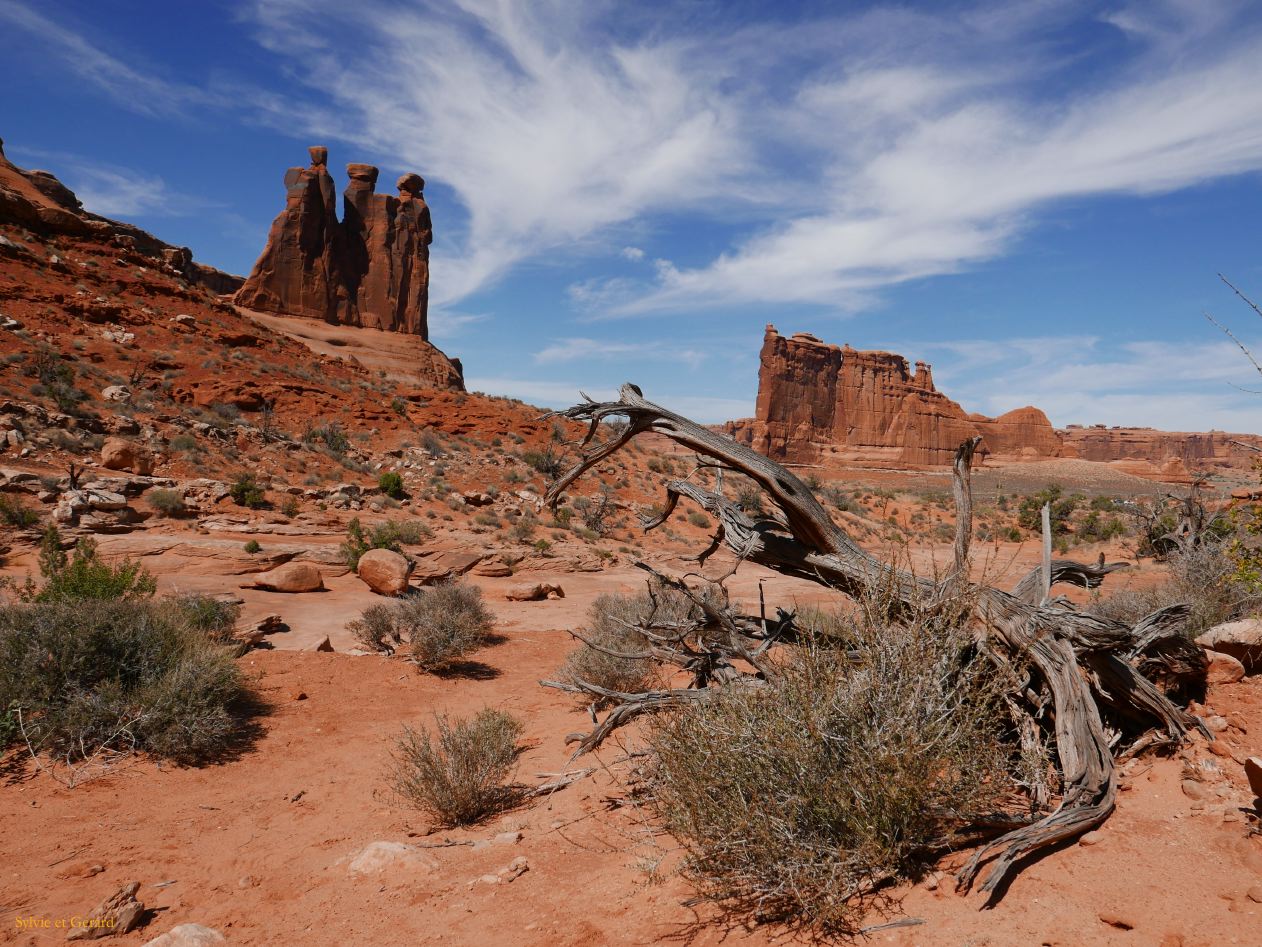 00 Dans les Parc Américains