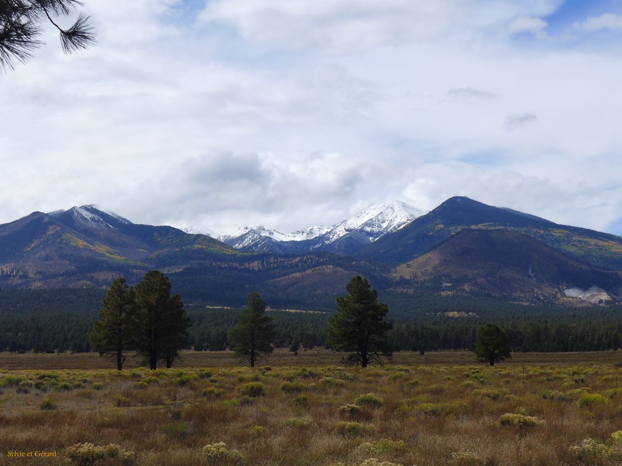 ARIZONA Sunset Crater 14