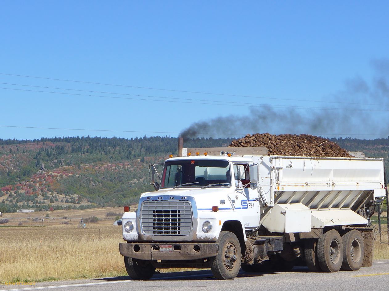 IDAHO 2 Idaho Famous Potatoes 