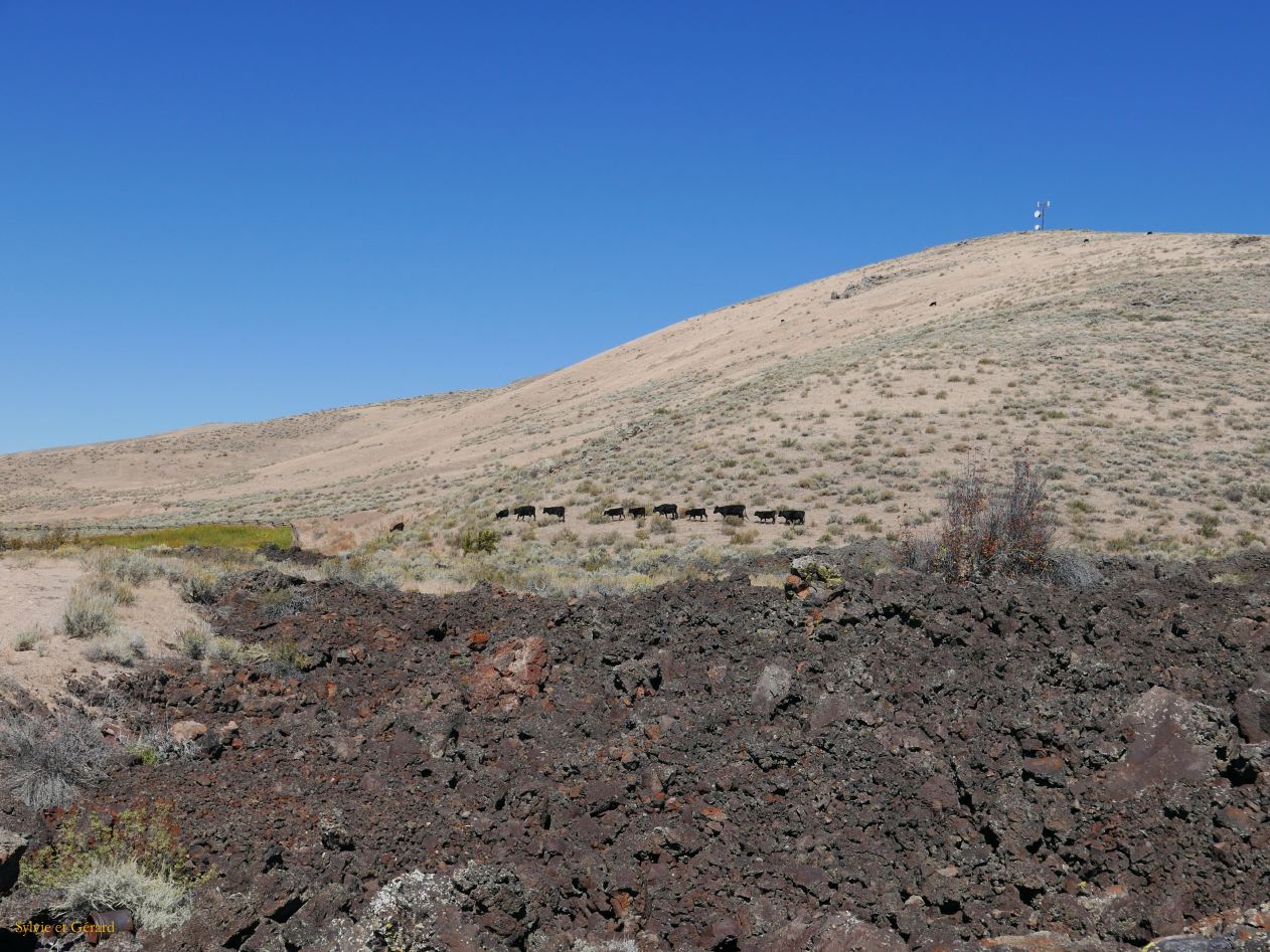 IDAHO Craters of the Moon 01 Sunset Cone 1954 m 