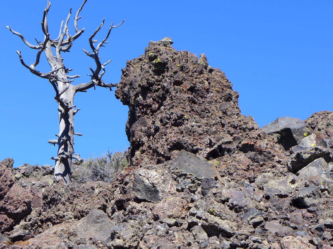 IDAHO Craters of the Moon 03